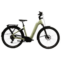Flyer Gotour 7.10 Comfort Grün Modell 2024