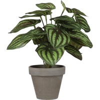 Mica decorations - Mica Kunstpflanze Peperomia grün im Topf