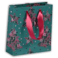 Clairefontaine 5x Geschenktasche S (12x4,5x13,5cm), Weihnachten Velvet, Grün, 212888C