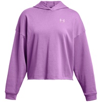 Under Armour Rival Terry Hoodie Provence Purple 40