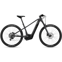 Ghost E-Teru Pro grey Men 2022,