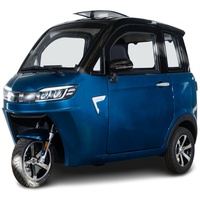 Stormborn V8 GT - 25 oder 45 km/h, Lithium-Akku,