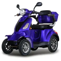 Stormborn R4 Elektromobil 25 km/h
