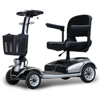 Stormborn R2 Seniorenmobil 6 km/h - Akku entnehmbar -
