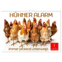 Calvendo Hühner Alarm (Wandkalender 2025 DIN A4 quer), CALVENDO