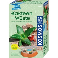 Kosmos Kakteen-Wüste (65825)