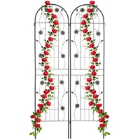 Relaxdays Rankgitter, 2er Set, 200 cm,