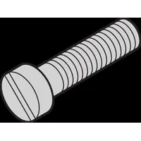 Nvent schroff Schroff Schraube 21100150 (VE100)