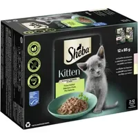 Sheba Kitten in Sauce Feine Vielfalt mit Lachs und