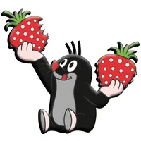 Trötsch Verlag Trötsch Der kleine Maulwurf 3D-Magnet Erdbeere
