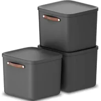 Rotho 3er-Set Aufbewahrungsbox 40l, Kunststoff, anthrazit, 40 39,5 x