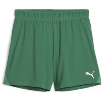 Puma teamGOAL Handball Shorts W, Unisex-Erwachsene Gestrickte Shorts, Sport