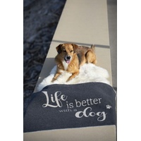 David Fussenegger Fussenegger Haustierdecke "life is better " dog,