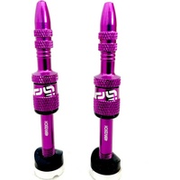 E*thirteen ETHIRTEEN Quick Fill Tubeless Presta Ventile 19-23mm -