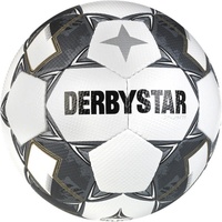 Derbystar Brillant TT Trainingsfußball weiß/silber 5