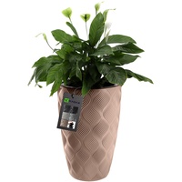 Kadax Blumentopf mit Einsatz und Griffen, aus Kunststoff, 58.5