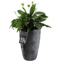 Kadax Blumentopf mit Einsatz und Griffen, aus Kunststoff, 58.5