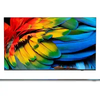 Philips 65HFL6214U/12 65 '' 4K LED Professional TV