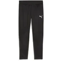 Puma teamGOAL Trainingshose Herren 03 black/white/flat dark gray XXL