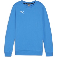 Puma teamGOAL Casuals Crew Neck Sweatshirt Jungen 02 ignite
