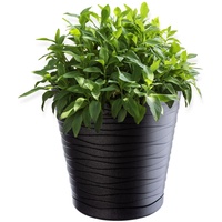 Kadax Blumentopf mit Untersetzer, aus Kunststoff, rund, 30 cm,