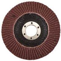 Silverline Tools Silverline Aluminiumoxid Fächerschleifscheiben 115mm Körnung 80 -