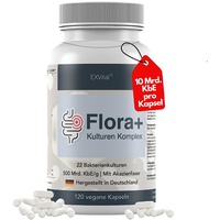 Exvital Flora+ Kulturen Komplex mit 500 Mrd. KBE/g -