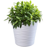 Kadax Blumentopf mit Untersetzer, aus Kunststoff, rund, 30 cm,