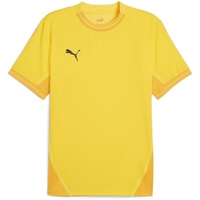 Puma teamFINAL Trikot