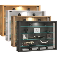 VCM VCM, Vitrine + Buffetschrank, Vitrosa L