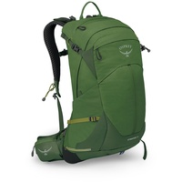 Osprey Stratos 24 seaweed/matcha green (Herren)