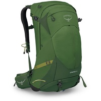 Osprey Stratos 34 seaweed/matcha green Herren