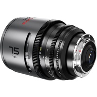 DZOFILM Pavo 2x Anamorphic 3-Lens Kit 28/40/75mm T2.1 für