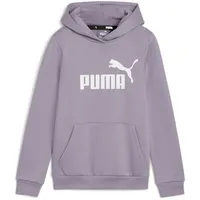 Puma Kinder Sweatshirt ESS Logo Hoodie FL G, Pale