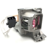 Optoma Lampe OPTOMA BL-FU195C / SP.72J02GC01