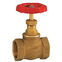 Riegler Muffen-Absperrventil DN 25 Messing