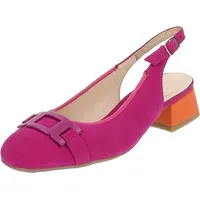 ARA Graz / 38.5 EU Weit