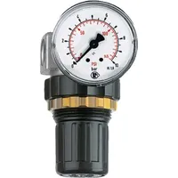 Riegler Druckregler »Standard-mini«, Schalttafelmutter, G 1/4, 0,5-10 bar
