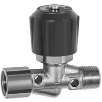 Riegler Nadelventil, Messing vernickelt, IG/AG, Rp/R 1/4, DN 4