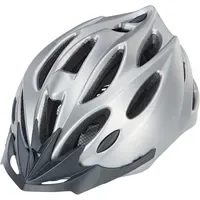 Prophete 58-61 cm grau/silber matt 2023