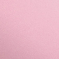 Clairefontaine Maya Tonpapier 50x70cm 120g 250 Bogen - Hellrosa