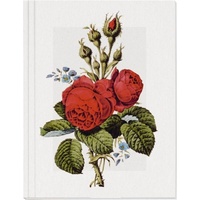 Gerstenberg Verlag Geschichte der Rose Großes Notizheft Motiv Moosrose