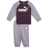 Puma Minicats Ess Raglan Set Pale Plum 6-9 Monate