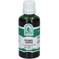 Hecht Pharma SOLIDAGOTROPFEN 50 ml