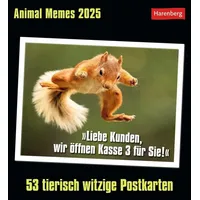Harenberg Animal Memes Postkartenkalender 2025 - 53 tierisch witzige