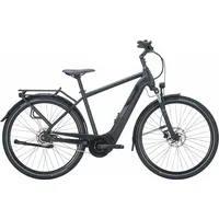 Pegasus Solero Evo 8R 2024 28 Zoll RH 55