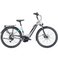 Pegasus Evo CX 2024 28 Zoll RH 50 cm