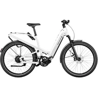 Riese & Müller Homage5 GT Pinion 800 Wh silber