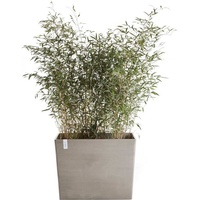 Ecopots »Paris mit Rollen 85 Taupe«, für den Außenbereich: