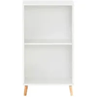 Proregal Aktenregal Jaguar Small HxBxT 92,6x51x41cm | 2 Fächern